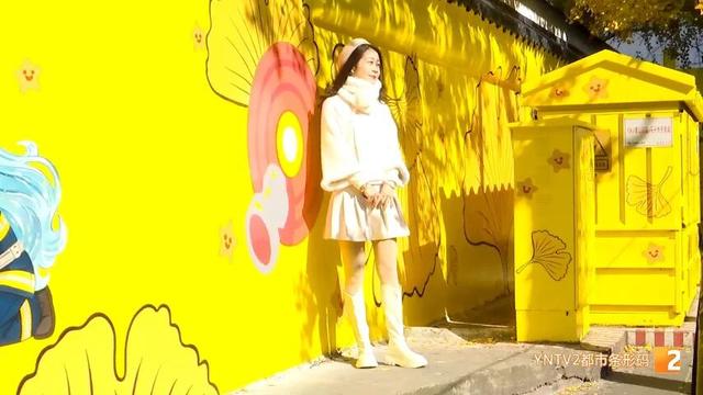 全网刷屏！银杏浓度已达100%！近期昆明这条街“杀疯”了