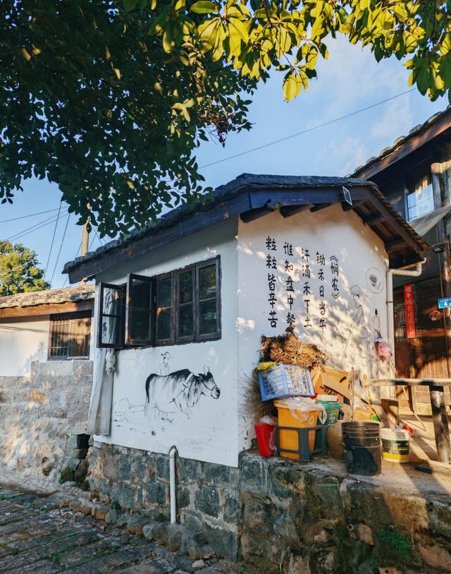 谁懂啊！鼓岭还有这么美的地方，随手一拍都是大片