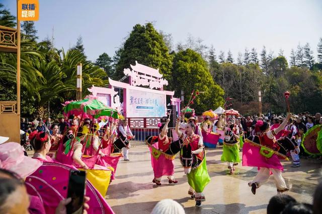 在樱花树下，看见春天！2026洛龙公园第三届樱花节开幕首日迎5万人次打卡