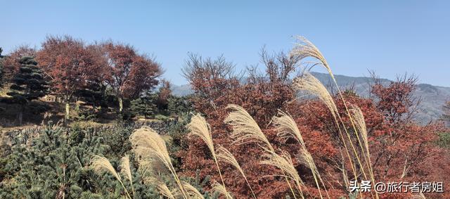 真是醉了，徒步奉化东西岙徐凫岩看悬崖飞瀑堵人竟然堵到怀疑人生
