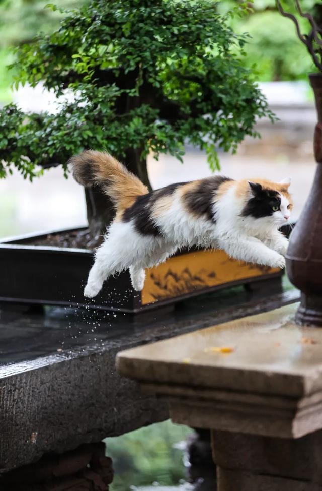 出发~