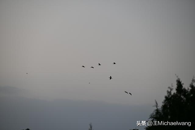古意秋风三万里（D5）-从万荣到韩城古城