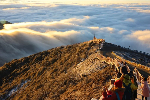 最佳观赏期！雅安的红叶彩林“封神”啦！
