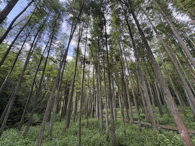 2025首届“中国·南岭山水民谣诗歌节”将在国庆期间精彩绽放