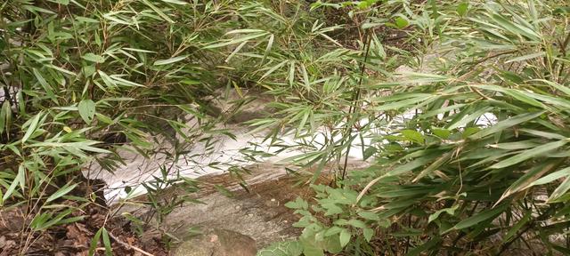 王顺山松岩瀑布