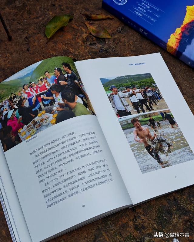 带一本书去人间天堂，那里叫迪庆