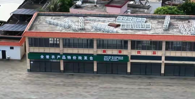 全红婵刚归队，爸爸用她冠军名号赚钱，被骂蹭流量，网友吵翻