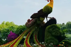 美不胜收的西安植物园！图片