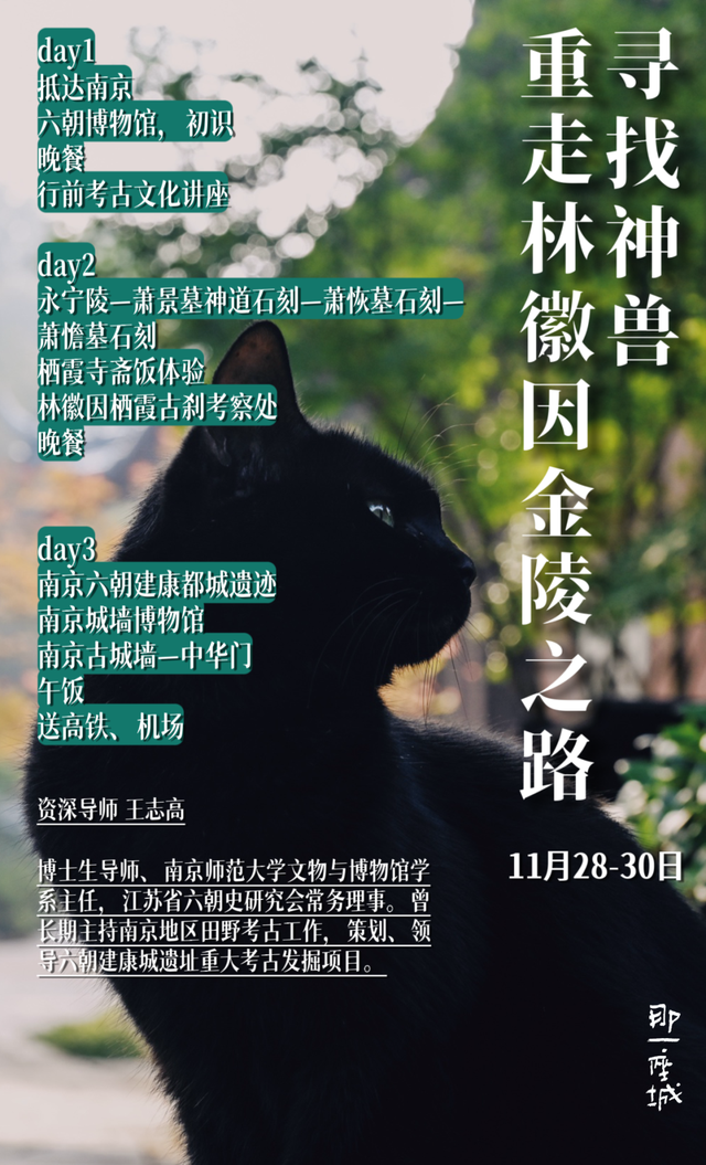 一到秋天，南京就美成了金陵