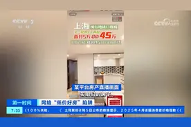 “上海地铁口现房总价45万”？到现场后，购房者傻眼了！图片