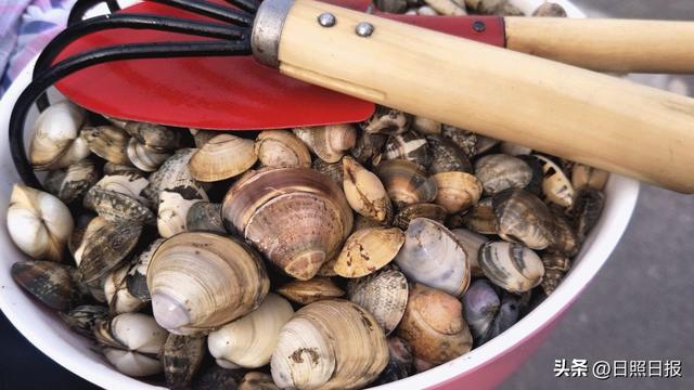 全球榜！中国榜！日照入选