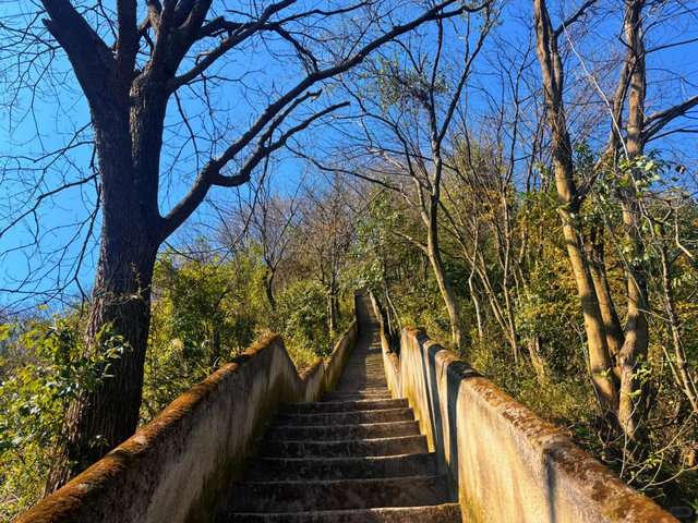 成都1h轻徒步天花板！徒步+奖牌+油菜花+斋饭全都有，亲子友好！