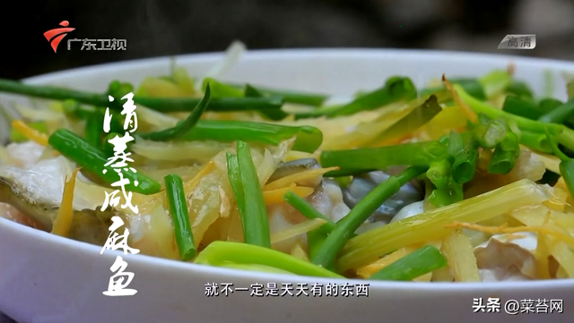 老广的味道 鱼肚花胶是哪期 老广的味道第五季鱼露