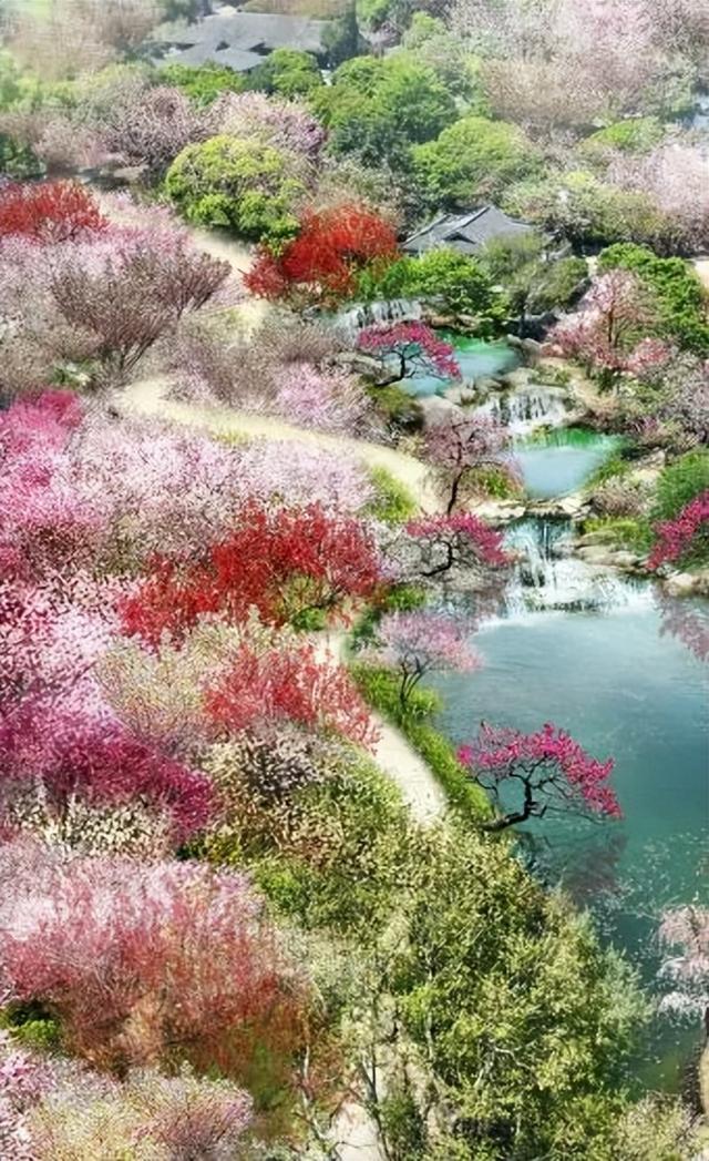 无锡梅园最新公告！