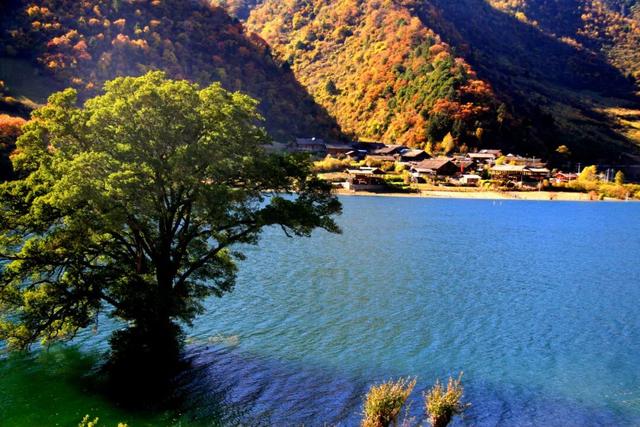 走不出这画了，我已被平武的彩林迷倒！