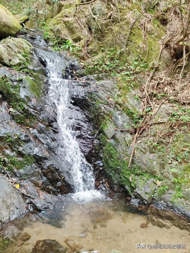 1.5h直达！藏在山野里的捡秋秘境，瀑布+挖宝双buff拉满！