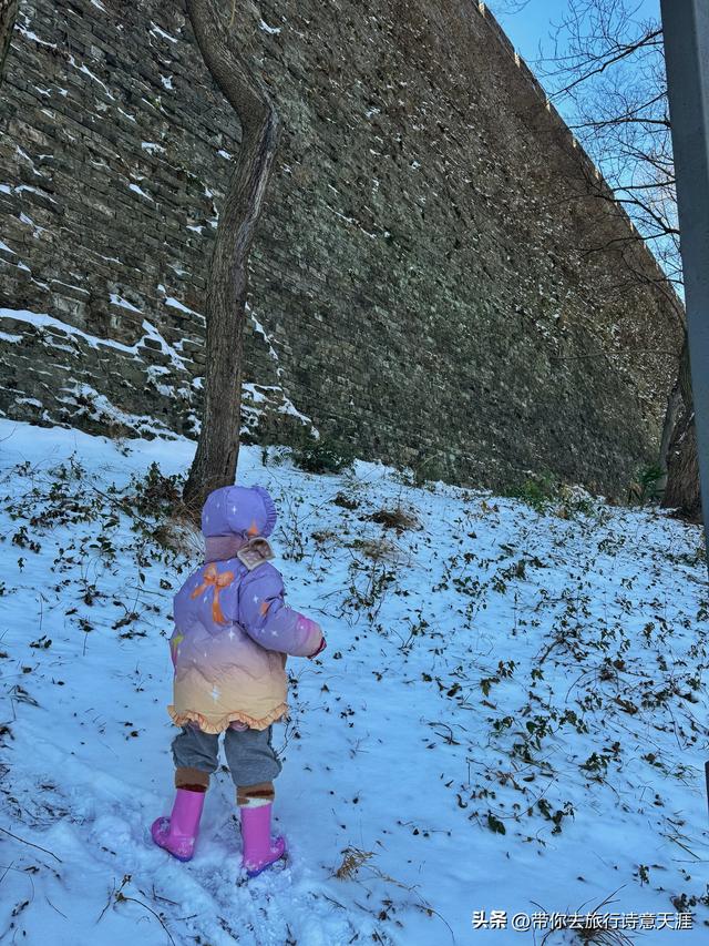 南京2026年第一场雪，梅花山、琵琶湖雪景