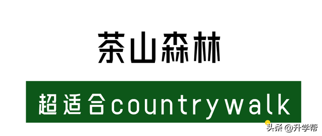 在夹关古镇见世面了，寻景尝鲜还能赶场！