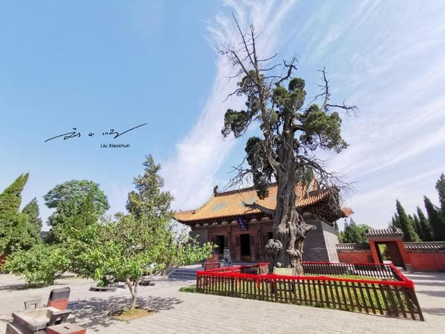 有人说“中国怎么看河南，世界就怎么看中国”，对此你怎么看？