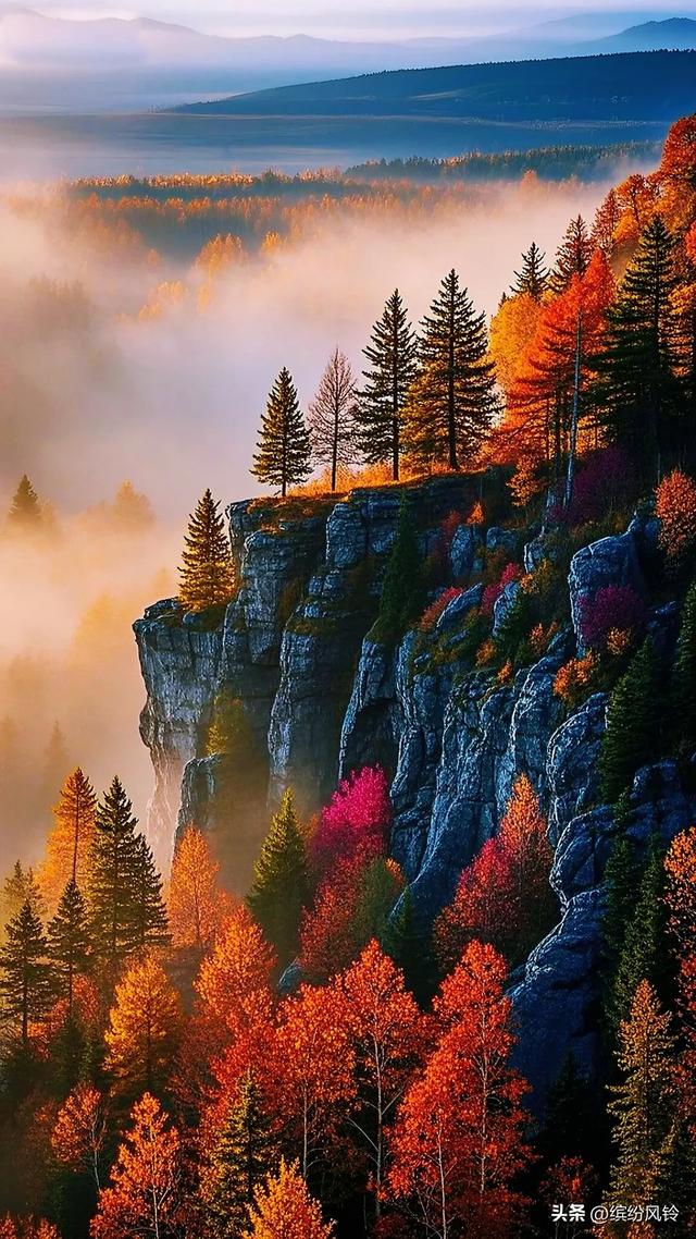 秋山泼彩如染，崖间枫红似火