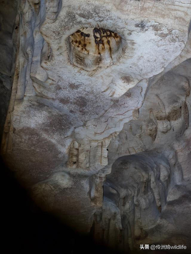 马来西亚(32)砂拉越州⑥世界遗产尼亚洞窟探险