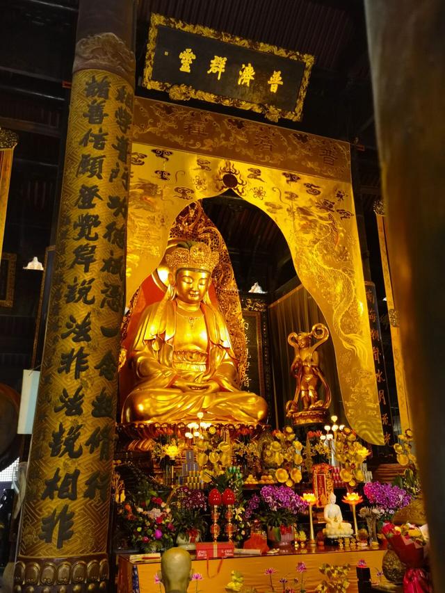 闲游普陀山