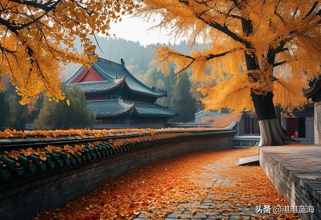 姚洋离京感言与北京到底如何？