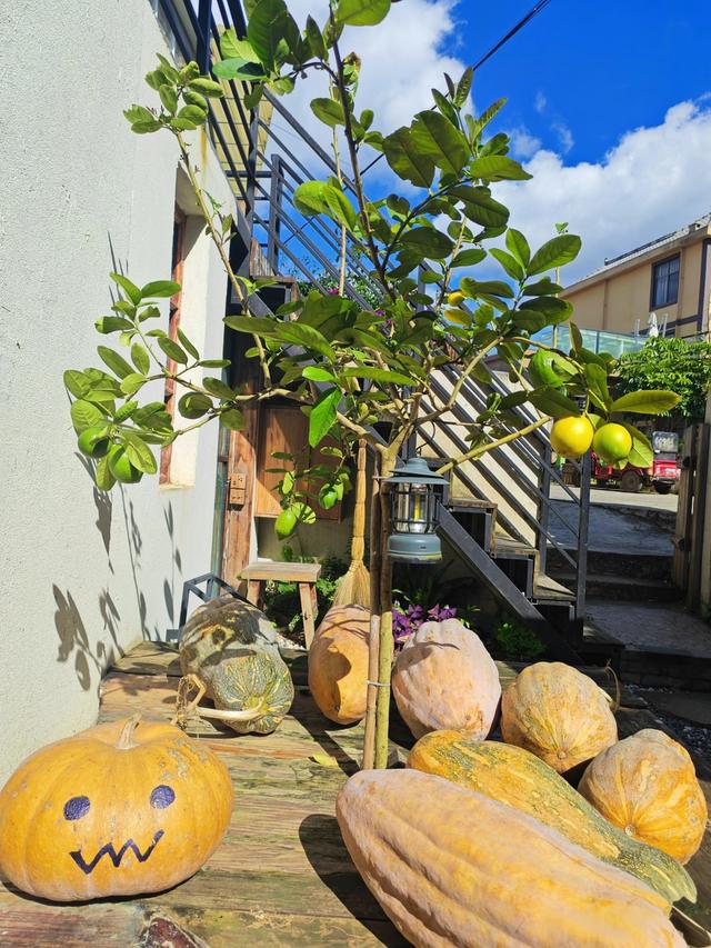 百年花巷古村，品红梨，捏瓦猫，偷闲半日