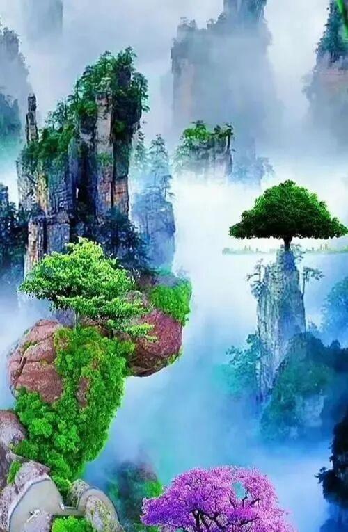 这才是真正的人间仙境，云雾缭绕，诗情画意的美！