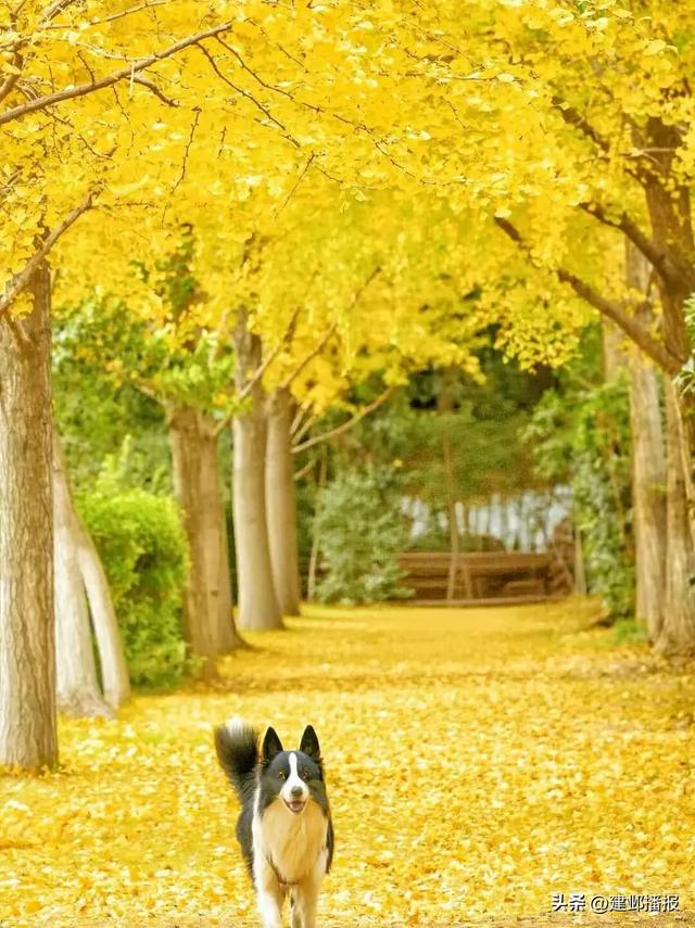 在建邺，“发呆”