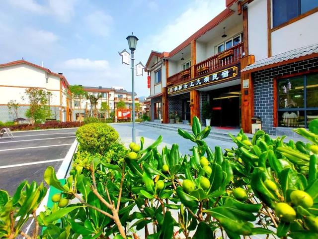 出游 │ 去桐梓躺平，解锁夏日N种玩法
