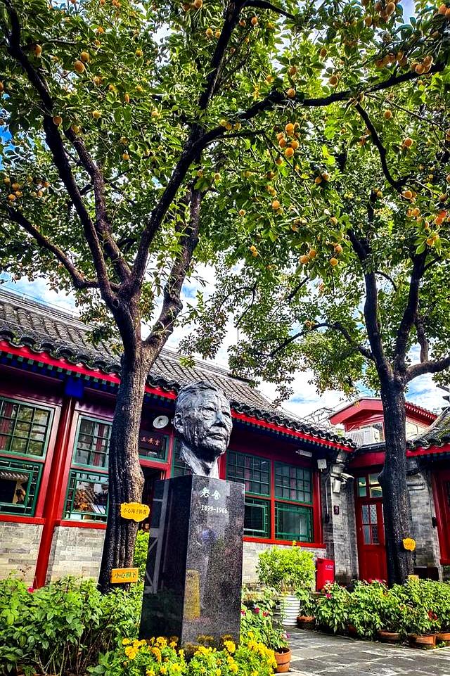 “丹柿小院	”的柿子红了！来这里赴一场文学之约~