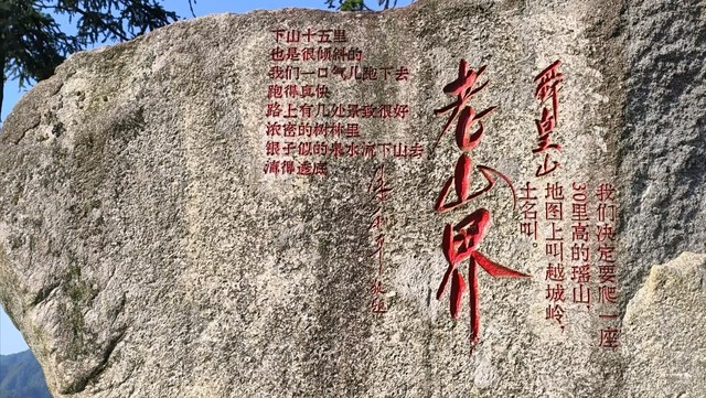 舜帝三临的"南方植物王国"：藏着长征记忆与千年茶香的"大山里"