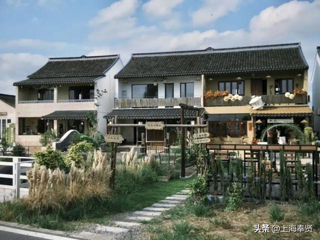 一键查收！“志愿星光 闪耀乡村”，上海市奉贤区12·5国际志愿者日主题活动邀请函