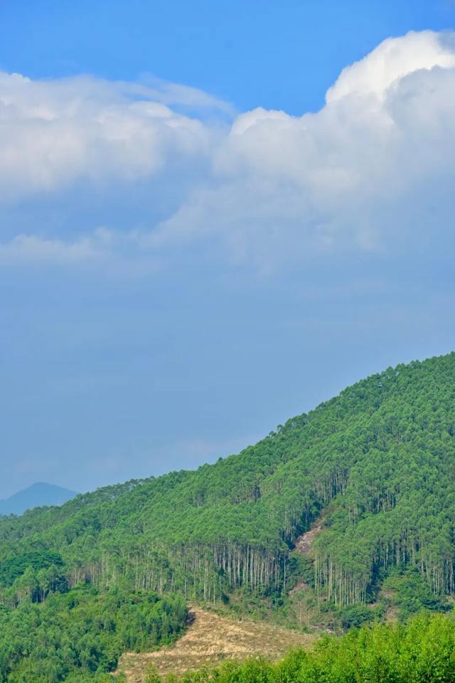 惠聚美好丨218最美旅游公路