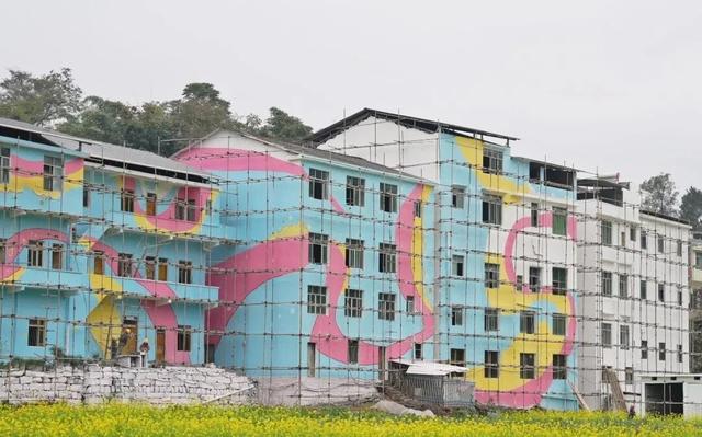 屏山中都万亩花海焕新颜 静待八方游客来