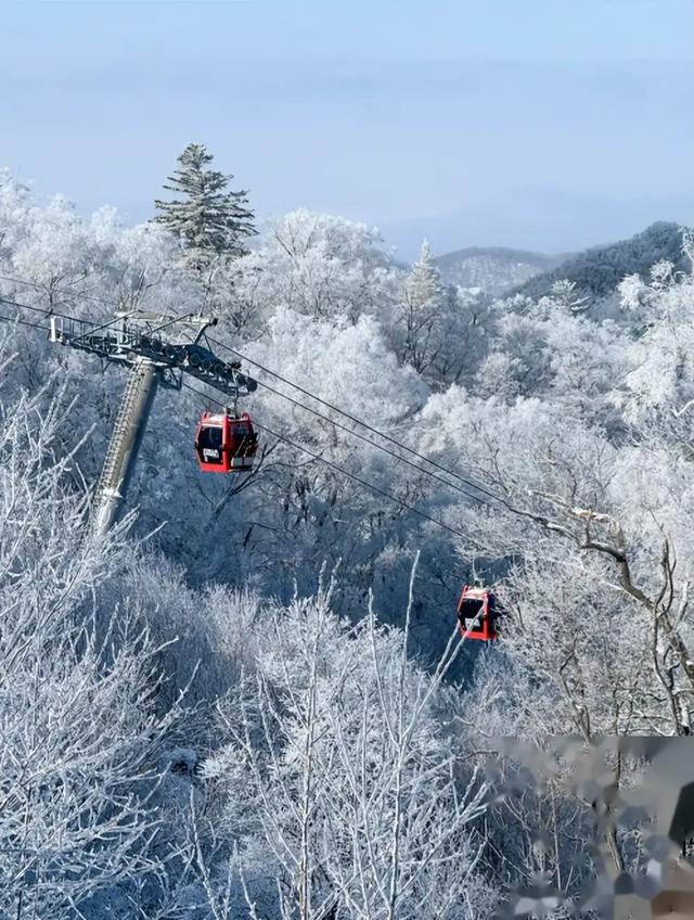 景区离大门几公里!逼坐车圈地收钱,旅游乱象真没人管吗