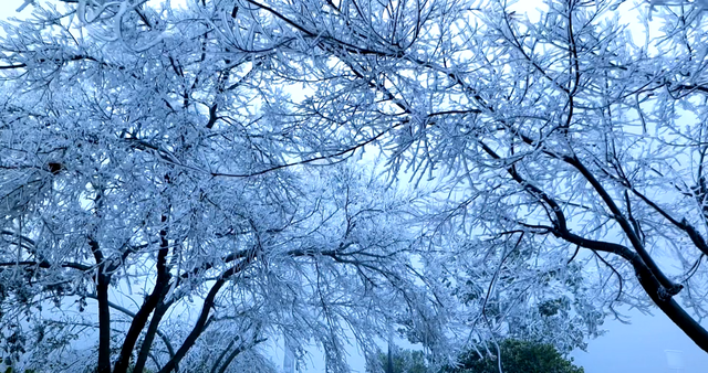 南昌初雪上线！湾里雾凇美成仙境，这份江南冰雪浪漫太惊喜了