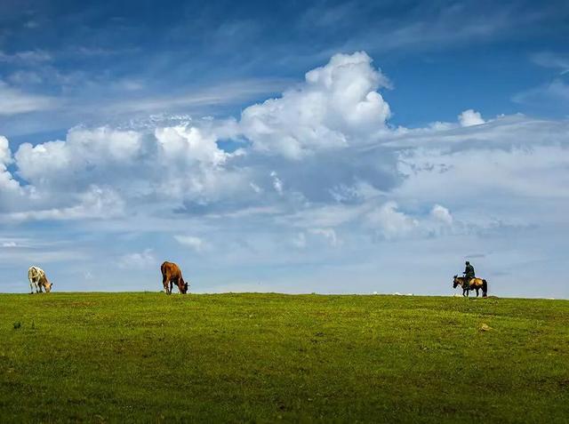 燕南赵北‖光影草原