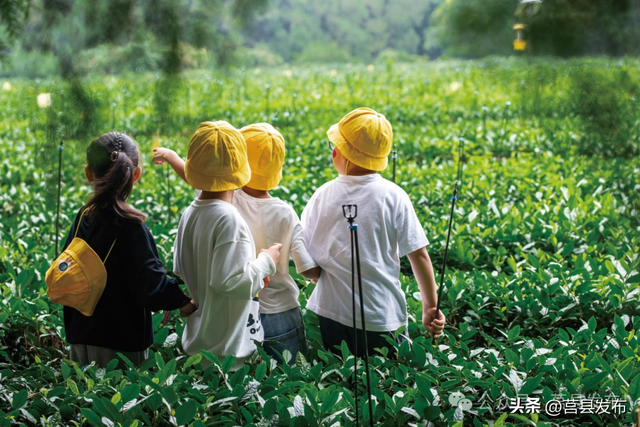 文旅山东推介莒县“宝藏小城”！
