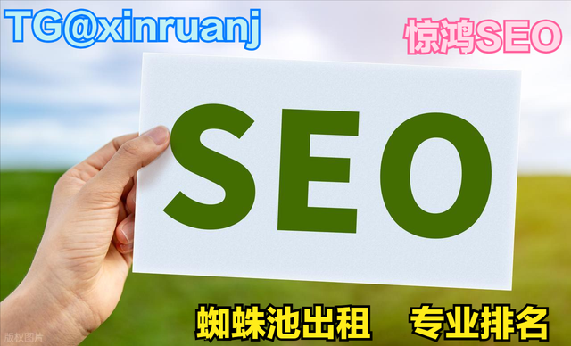 惊鸿SEO 蜘蛛池：让新站快速出圈的 SEO “捷径” 指南TG@xinruanj