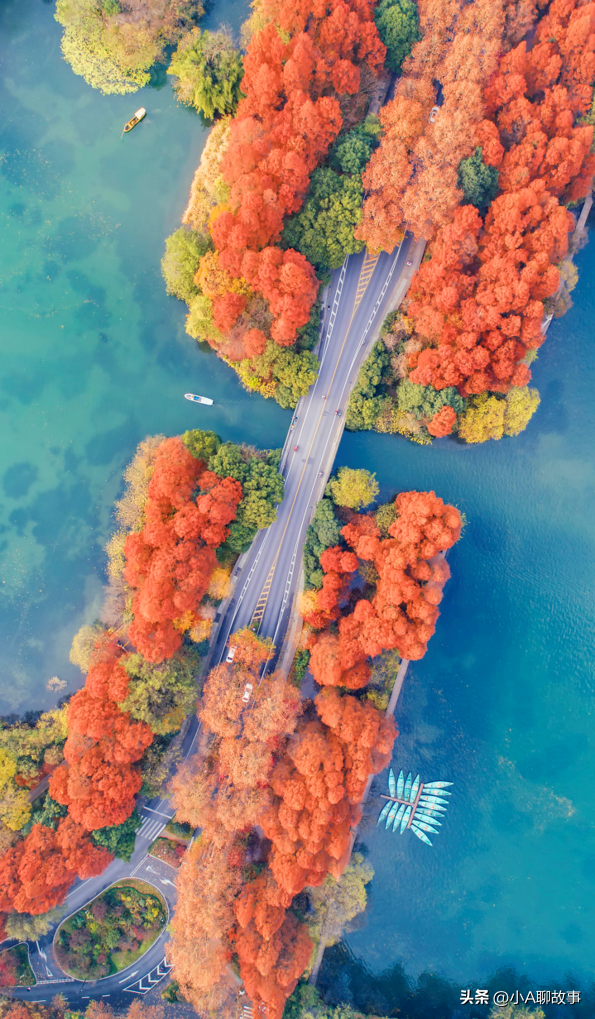 又一5A景区官宣永久免费！年入数亿，关键是秋天美到词穷！
