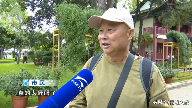 国庆不必远行！大观楼菊花瀑布美成仙境了！10月1日开幕→