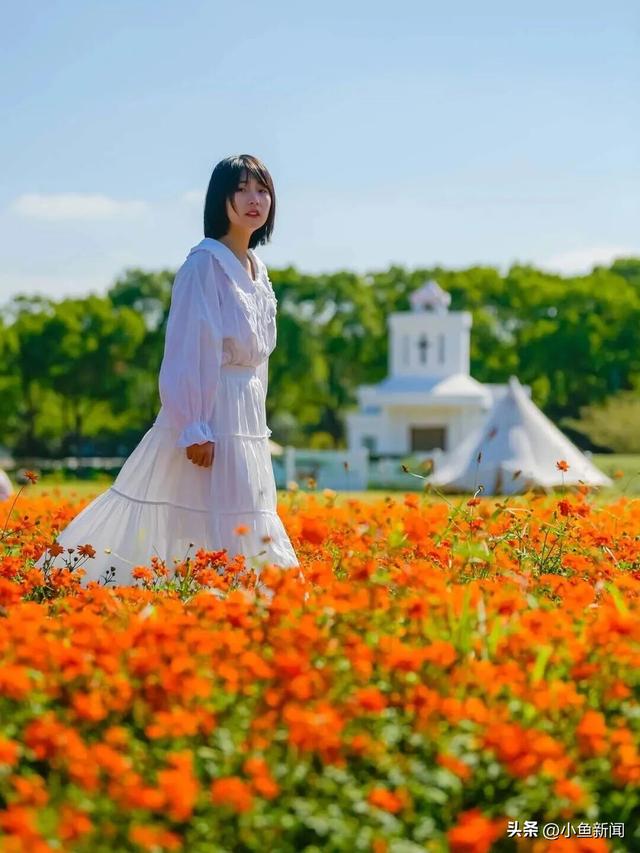 我等得花儿都...开了