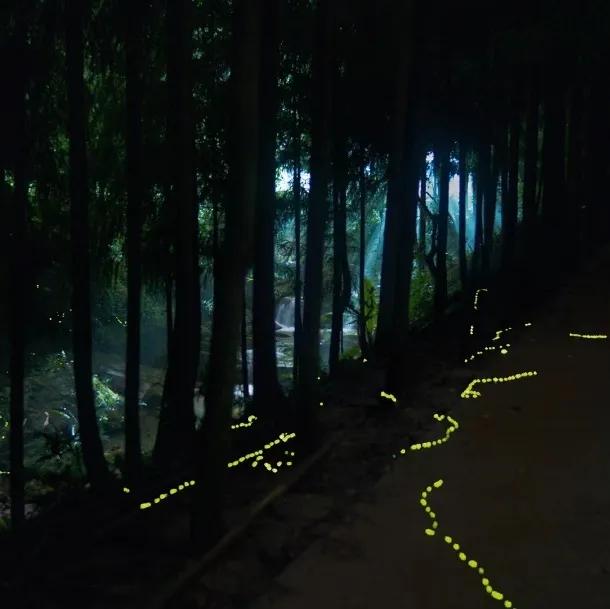成都以西的隐秘小村，赏萤火虫、溪涧踩水、探秘溶洞…1.5h刹拢！
