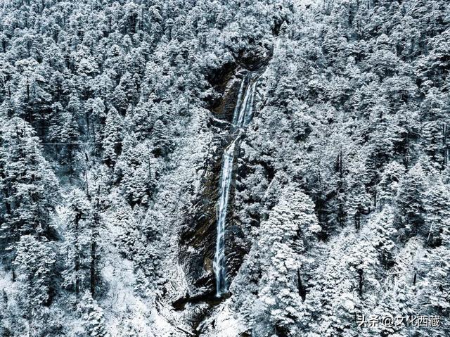 西藏下雪啦！是时候闯入扎墨公路的冬日仙境了！