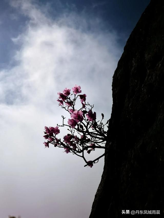 丹东凤凰山最高山峰一枝花