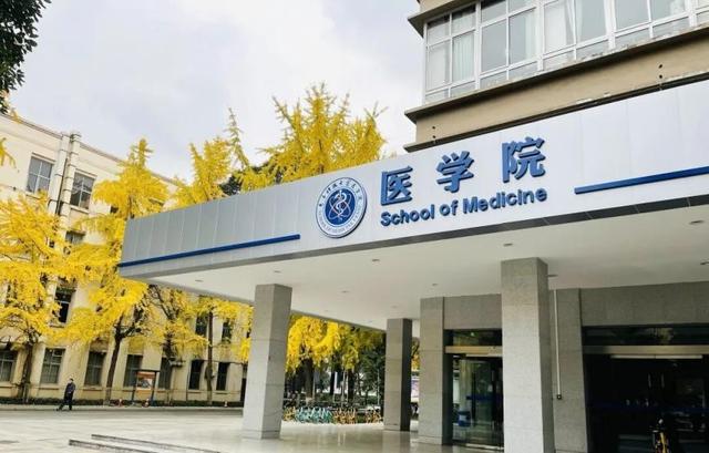 首次！成电“衰老”研究成果，顶刊三连！