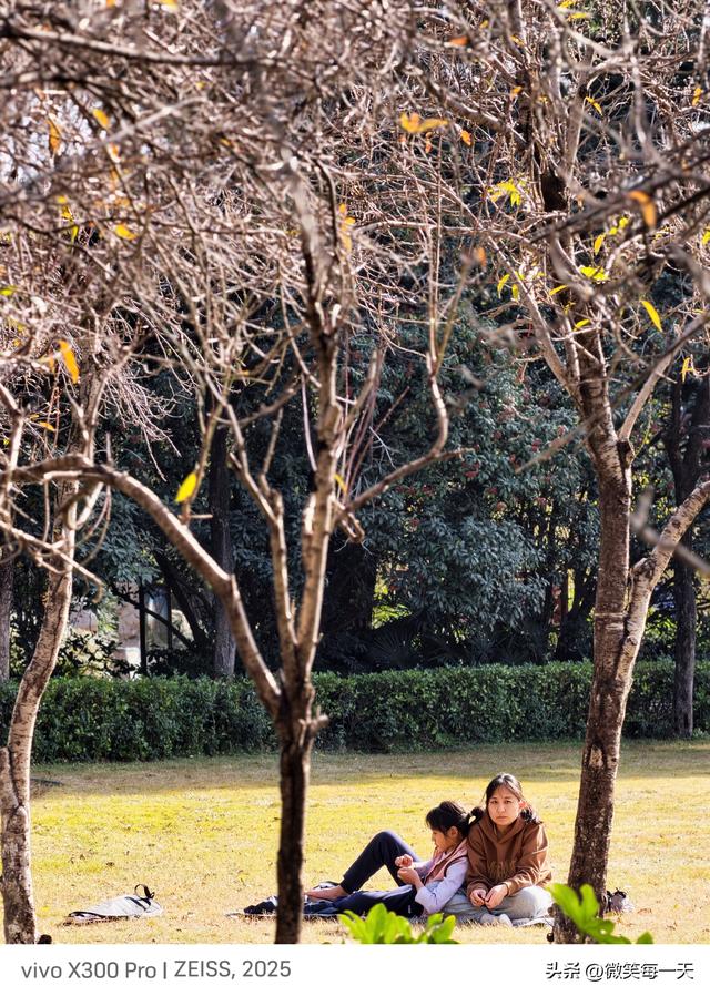 碧沙岗的秋，是郑州偷给我的半日温柔