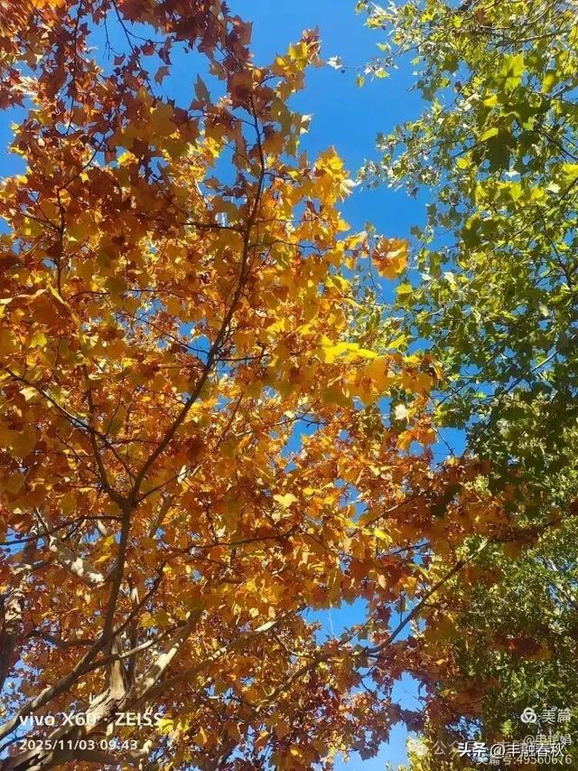 青岛即墨马山寻趣：一座地质公园的秋日私语｜申艳娟